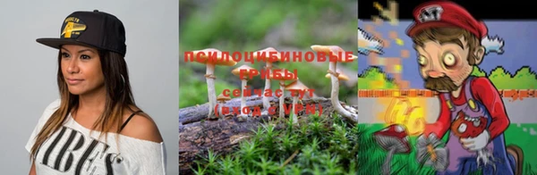 метадон Ельня