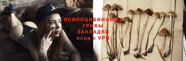 метадон Ельня