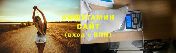 метадон Ельня