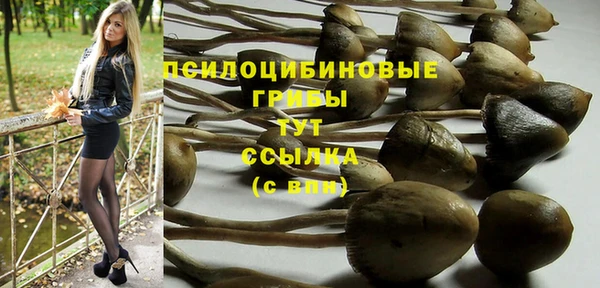 ГАЛЛЮЦИНОГЕННЫЕ ГРИБЫ Елизово