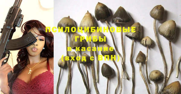 метадон Ельня